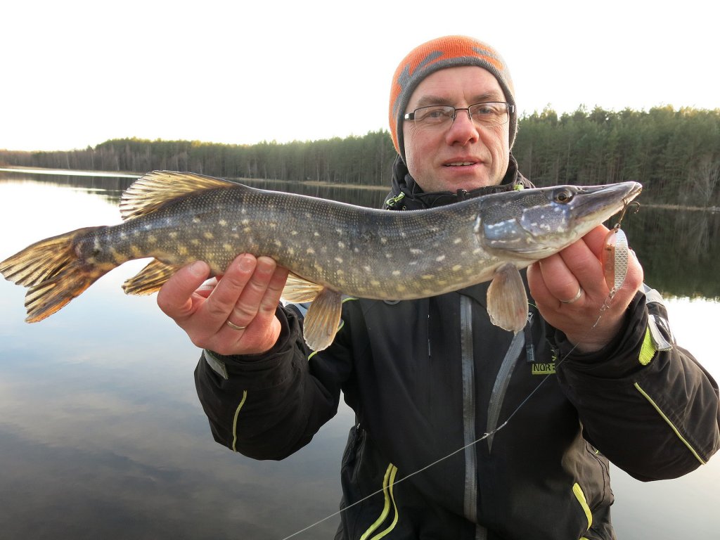 Валерий Сикиржицкий поймал щуку на колебалку