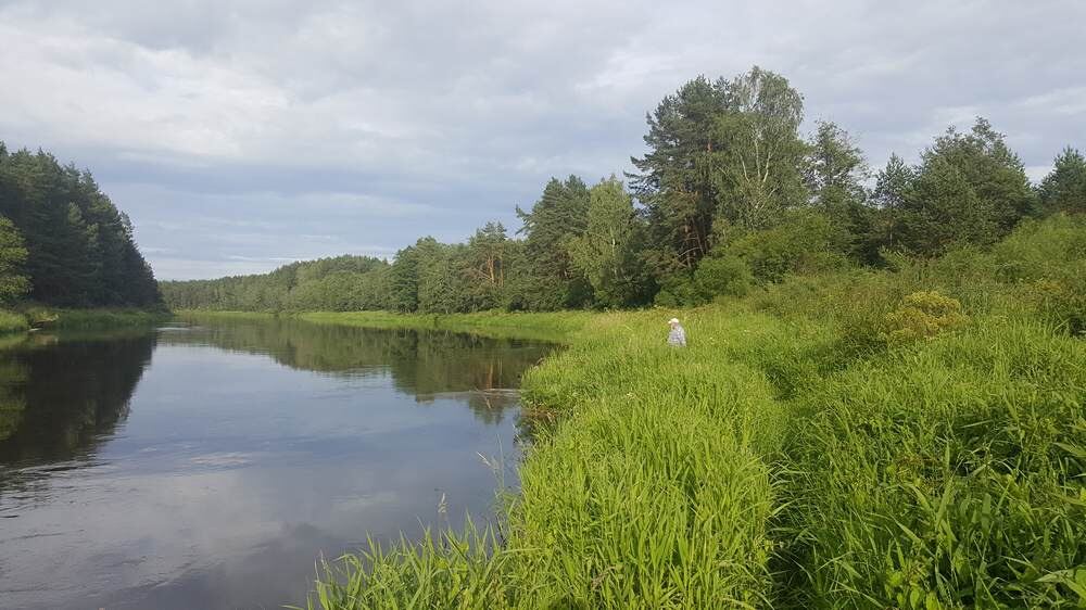 Рыбалка на реке Рыбалка на реке летом