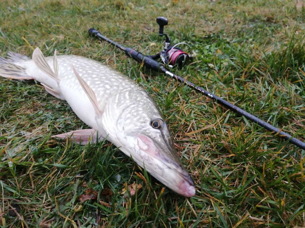 Щука на спиннинг Lucky John Basara 20 Щука на спиннинг Lucky John Basara 20