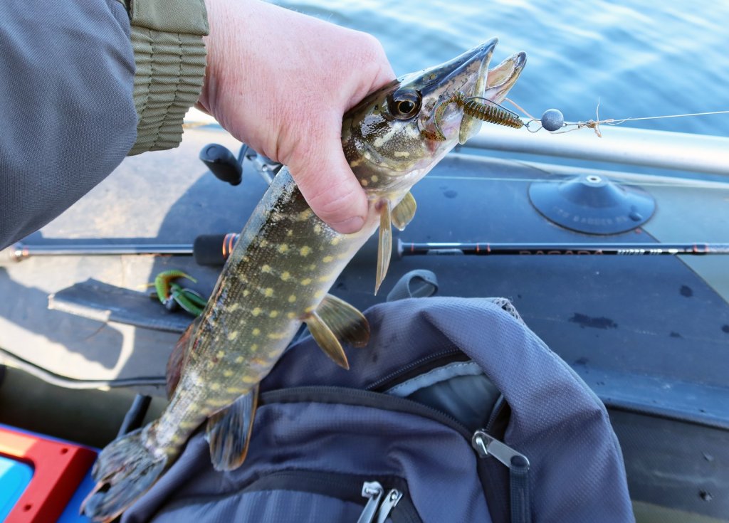 Щука клюнула с лодки на микроджиг