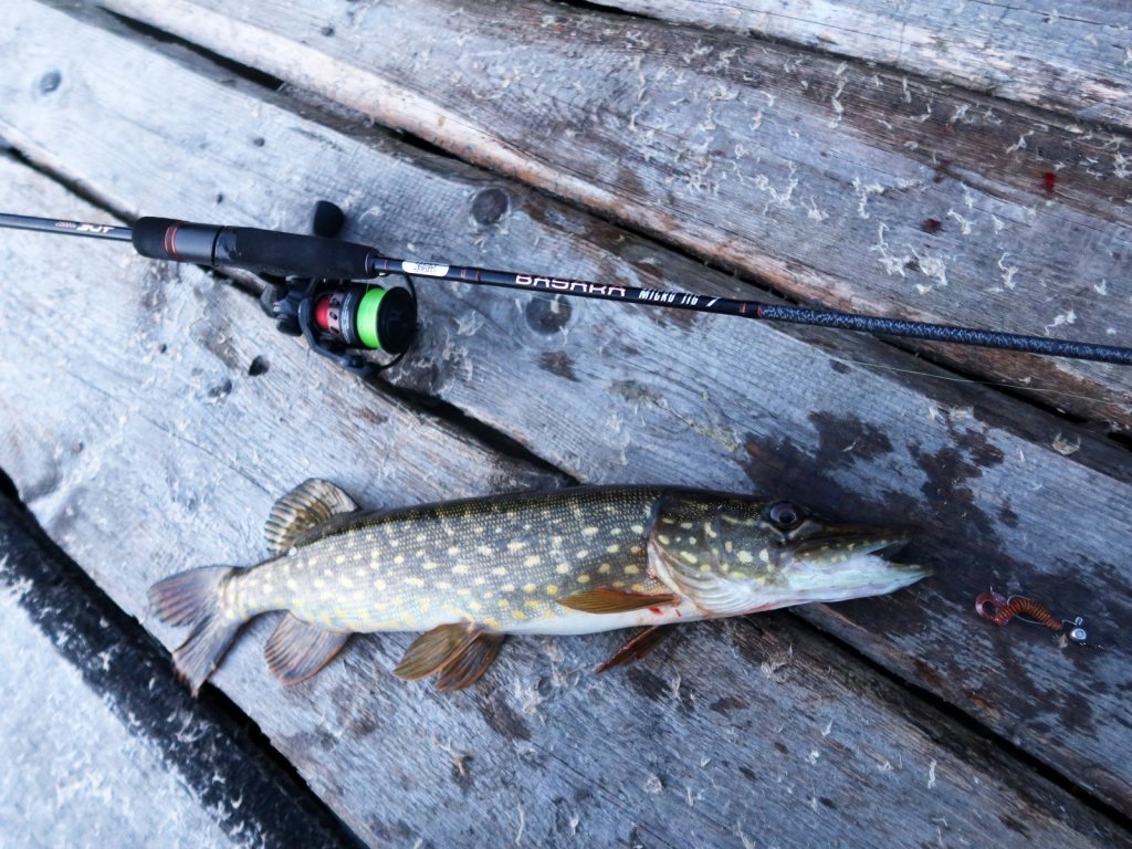 Щука поймана на спиннинг Lucky John Basara Micro Jig 7