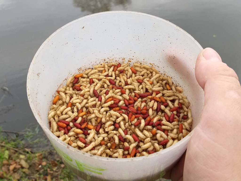прикормка для холодной воды 00009.jpg прикормка для холодной воды 00009.jpg