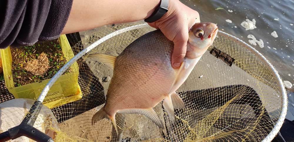 рыбалка на реке в июне 00001.JPG