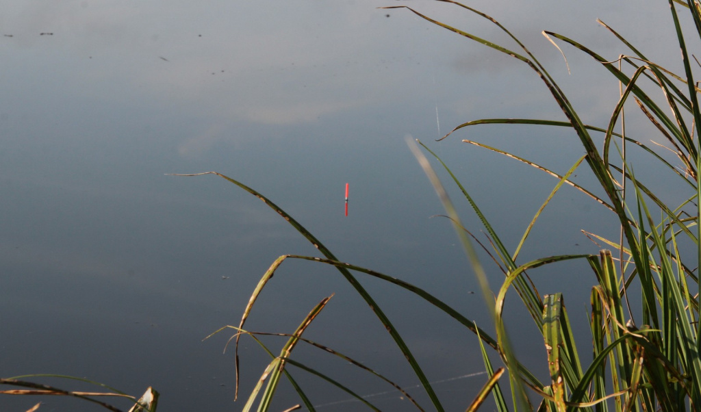 Поплавок в воде