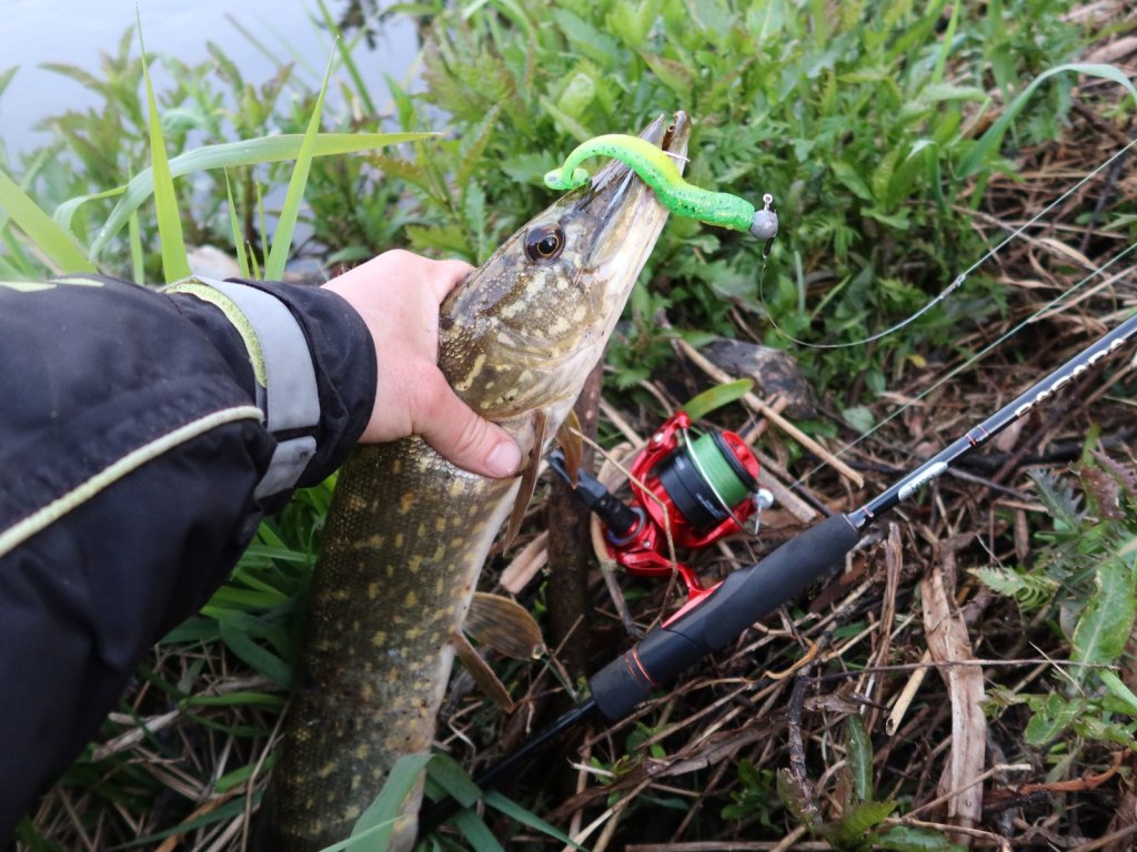 Щука клюнула на яркую резину