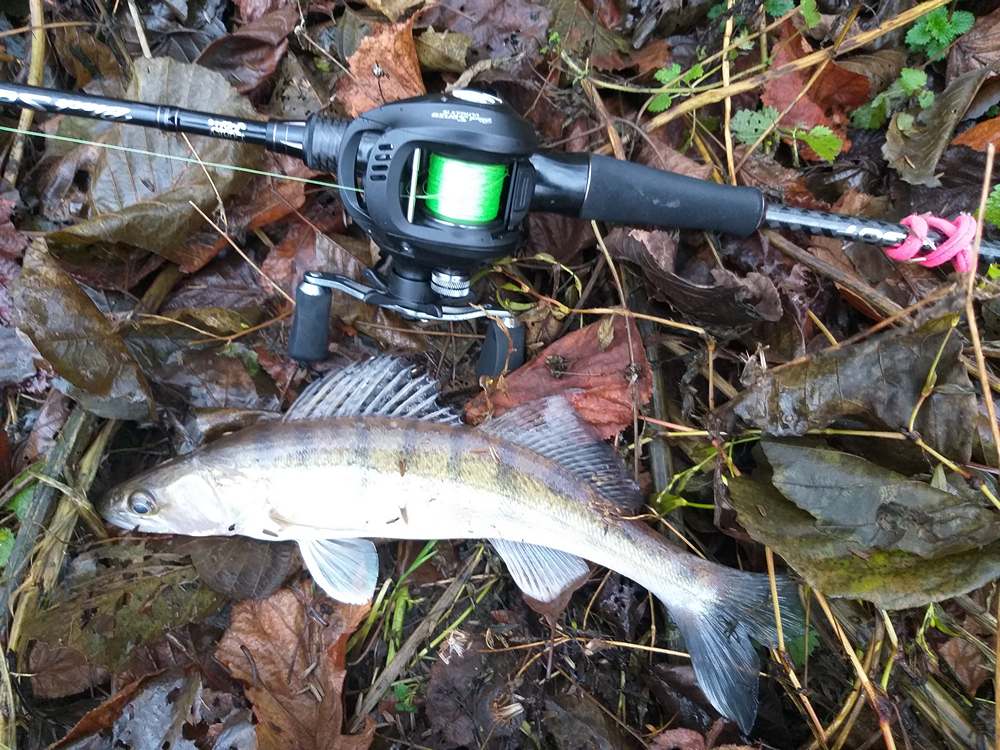 Ловля на кастинг