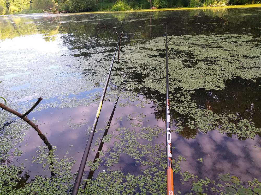 Две заброшенные удочки на заросшем пруду