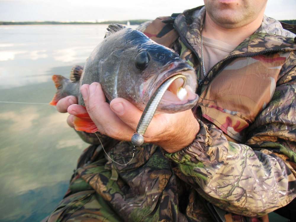 как подобрать размер спиннинговой приманки 0005.JPG