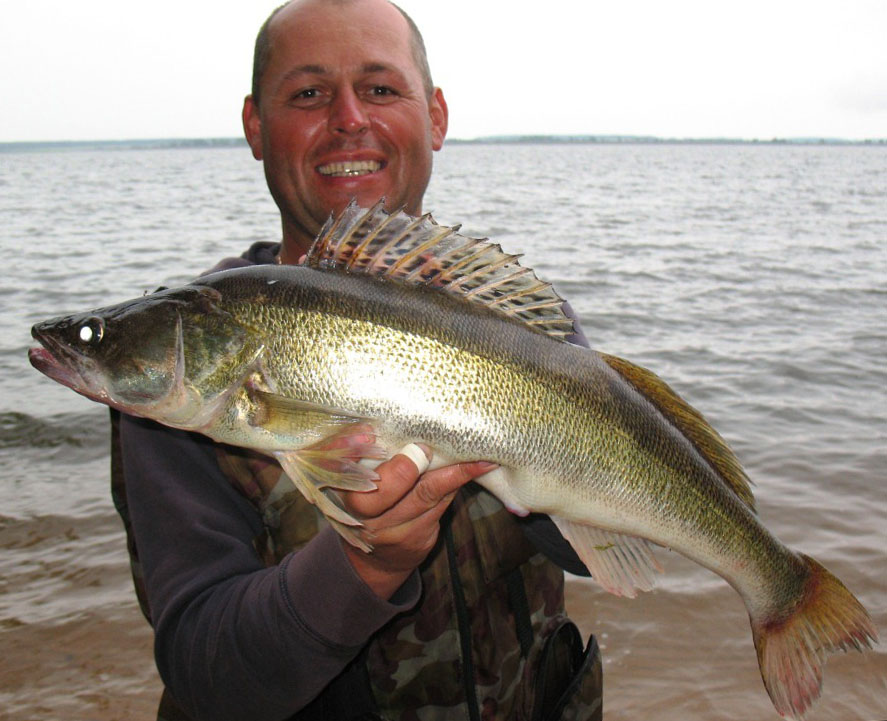 Рыбак с судаком