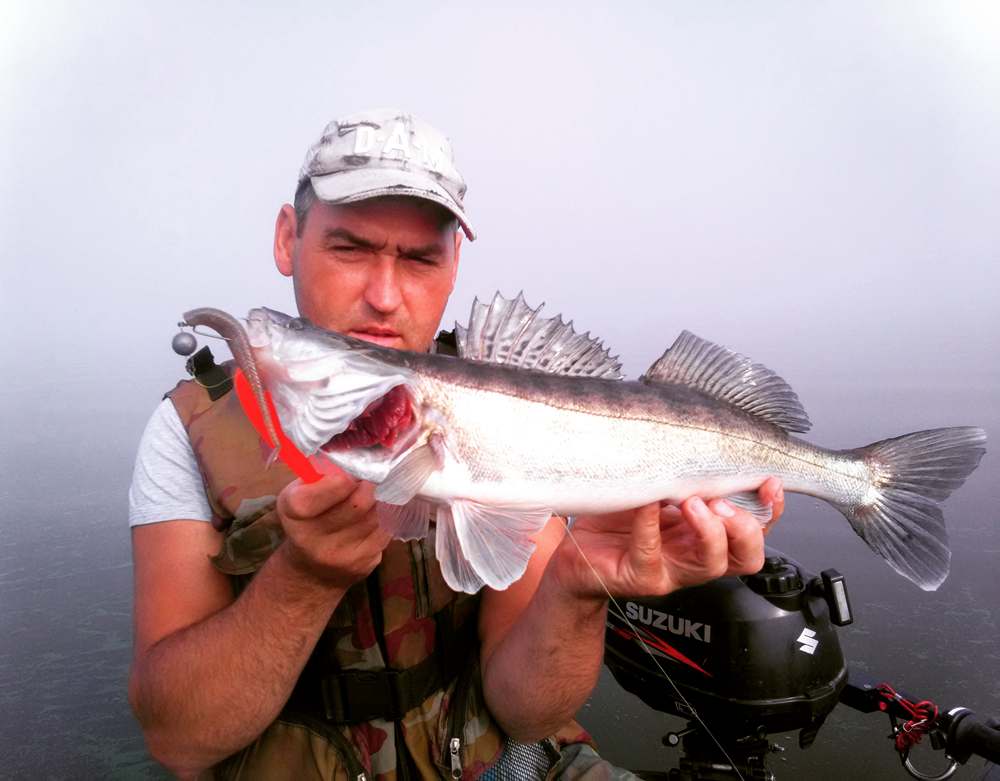 судак - биология места обитания и поведение 00006.JPG