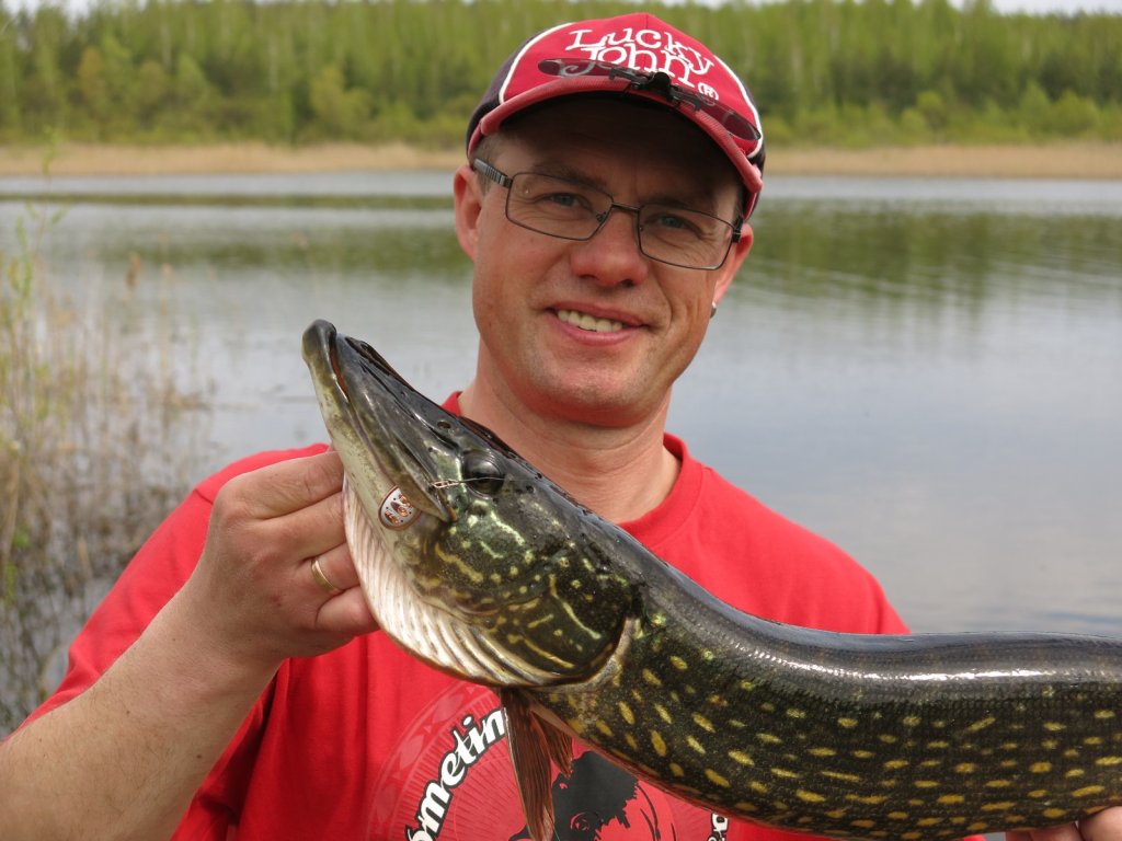 Валерий Сикиржицкий поймал с берега хорошую щуку на вертушку