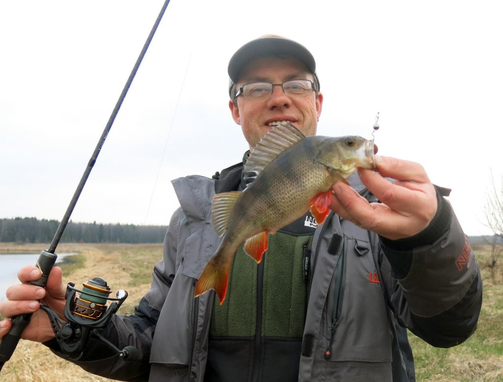 Окунь ловится на микроджиг