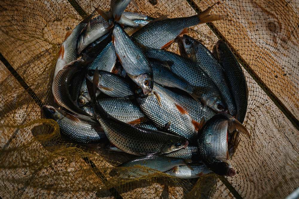 Ищем идеальное место для рыбалки 0003.JPG