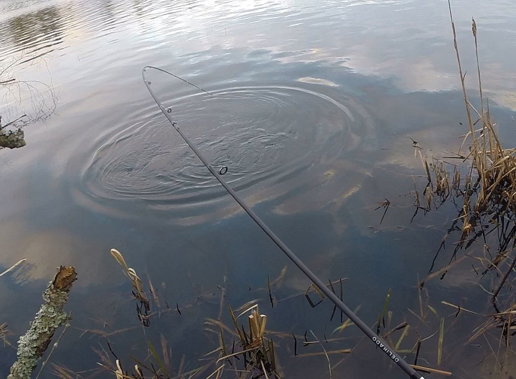 Спиннинг гнётся от рыбы Спиннинг гнётся от рыбы