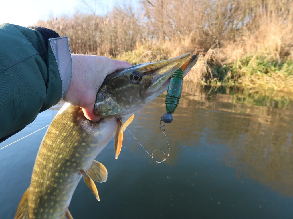 Щука клюнула на зелёную резину