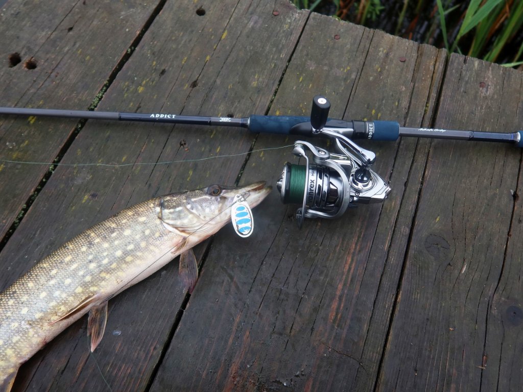 Щука поймана на вертушку