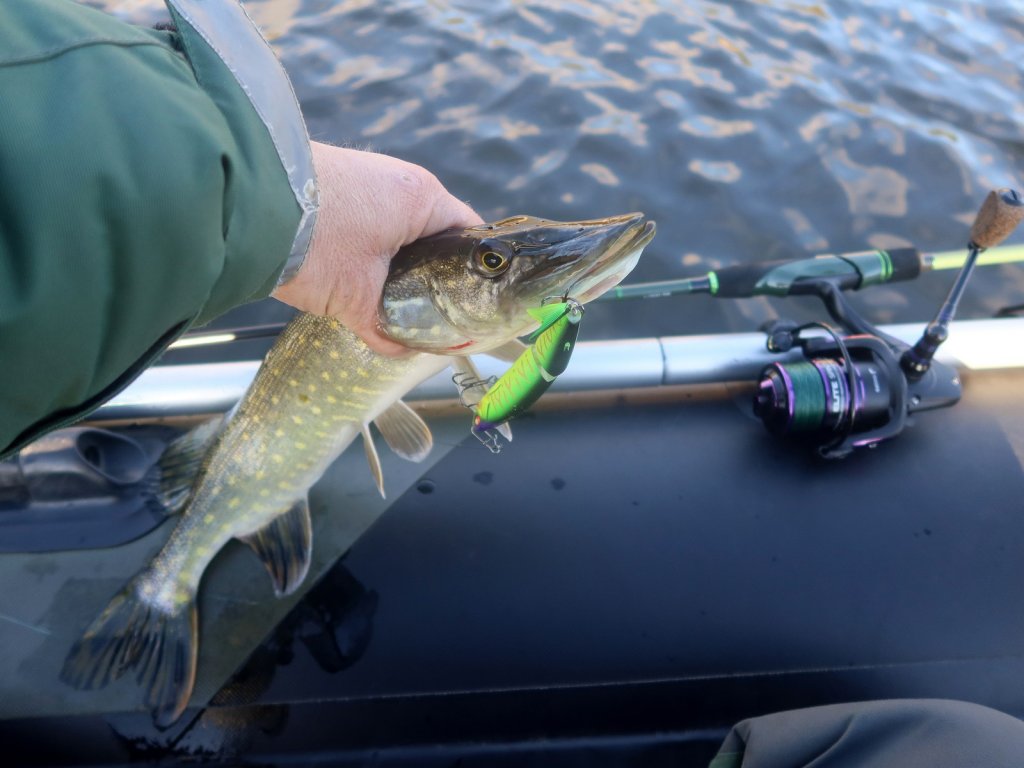 Щука поймана на воблер с лодки