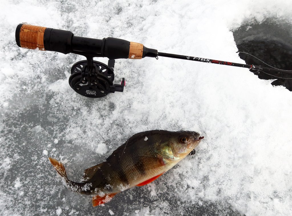 Зимняя удочка и окунь, пойманный на балду