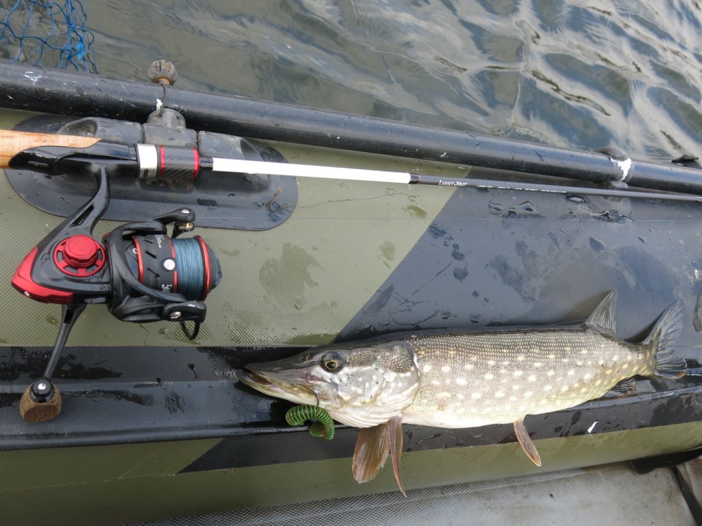 Щука и снасть на борту лодки
