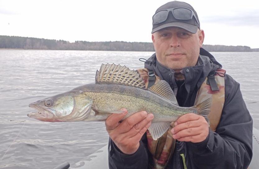 Судак пойман на джиг на реке ранеей весной Судак пойман на джиг на реке ранеей весной