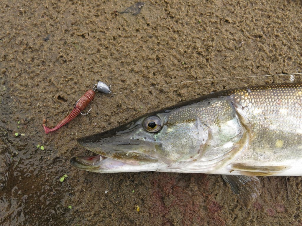 Щука и резина Lucky John Tioga