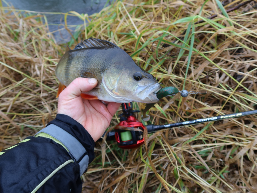 Lucky John Slim Shaker – лучшая приманка сезона