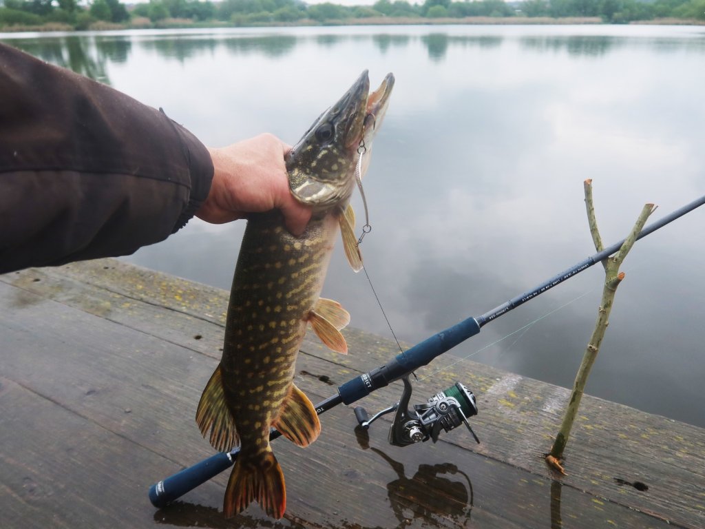 Щука клюнула на колебалку