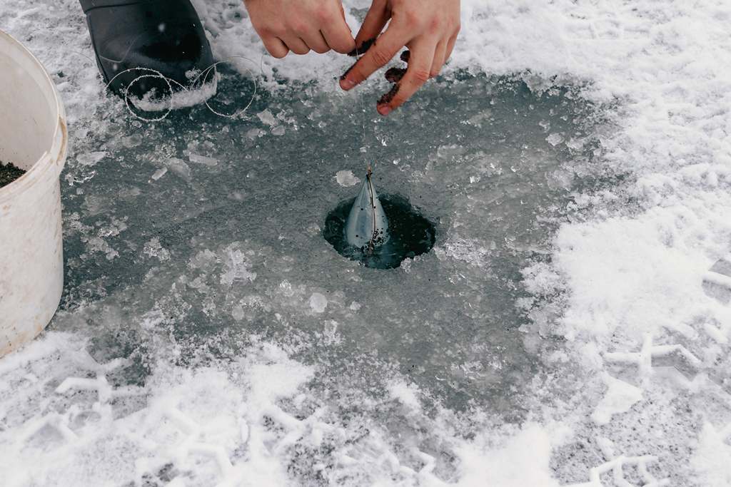 прикормка и добавки для ловли подлещика зимой 00007.jpg прикормка и добавки для ловли подлещика зимой 00007.jpg
