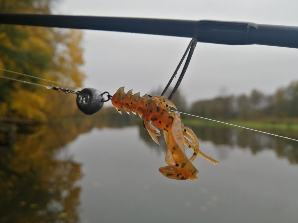 Рачок на судака Рачок на судака