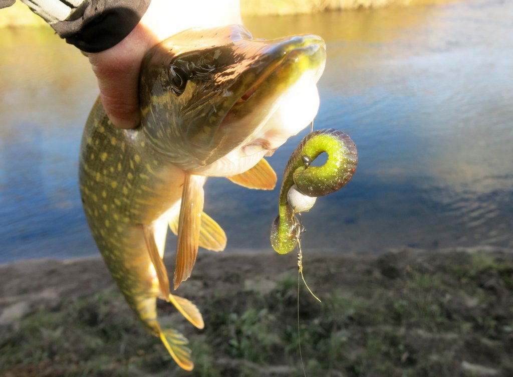 Щука поймана на резину Lucky John Long John