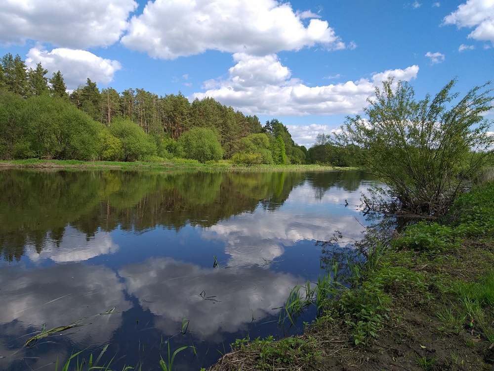 Болонская ловля в неидеальных условиях 00007.JPG