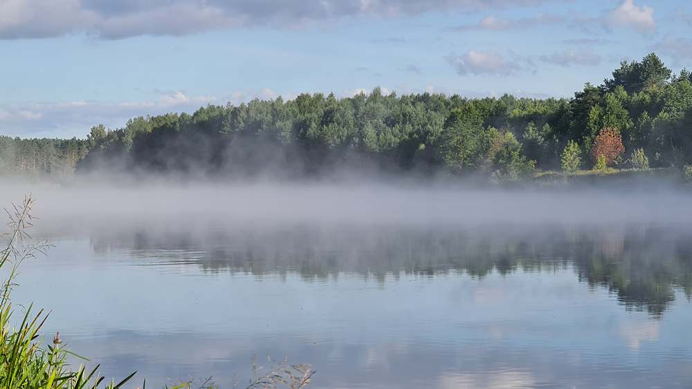 Специфика речной рыбалки накануне осени 0002.JPG