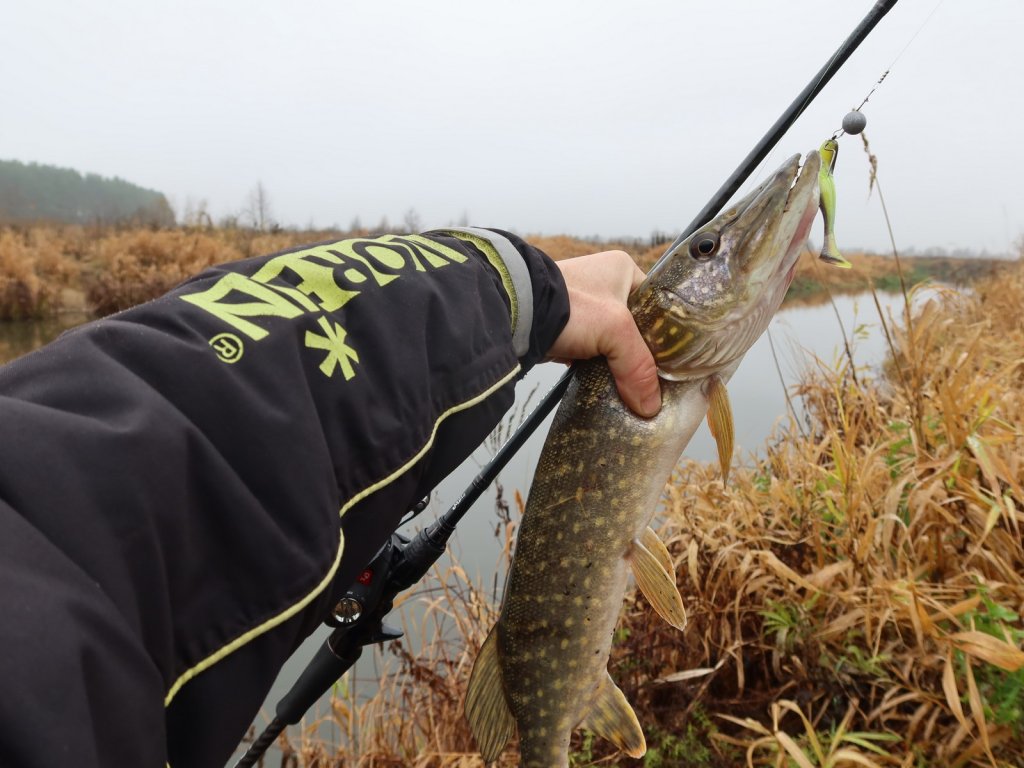 Щука и снасть на фоне реки