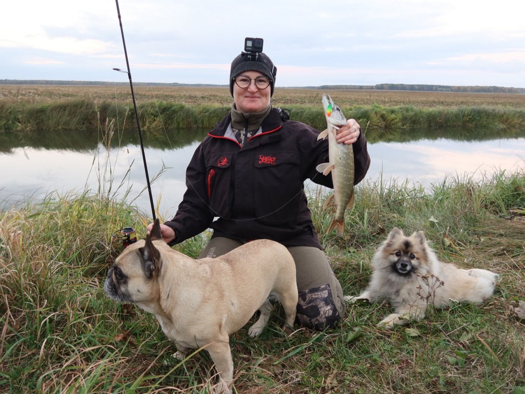 Рыбачка, собаки и щука на спиннинг