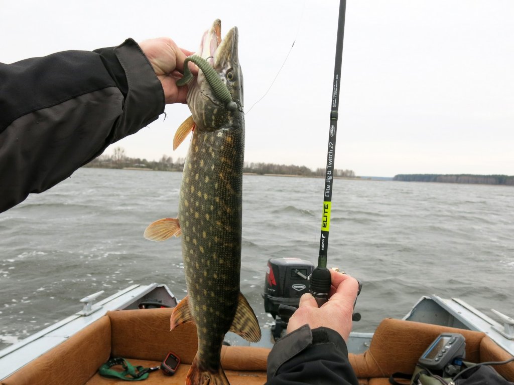 Щука и спиннинг на фоне водоёма