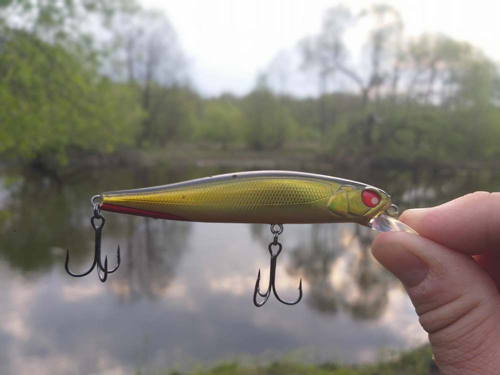 ловля щуки в мае 00008.JPG