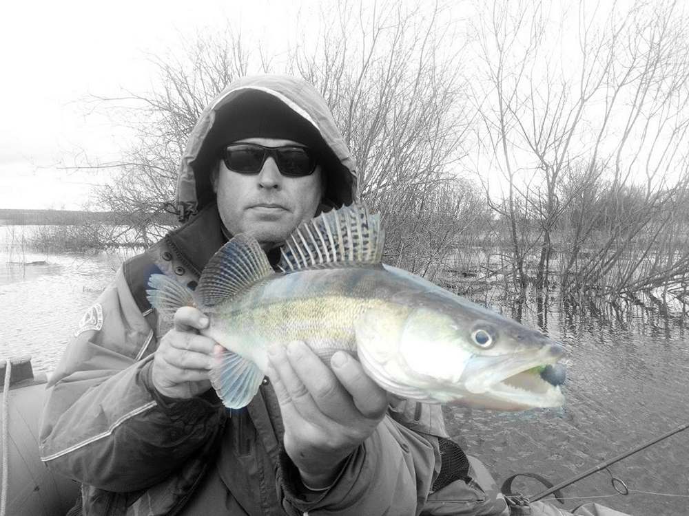 судак - биология места обитания и поведение 00003.JPG