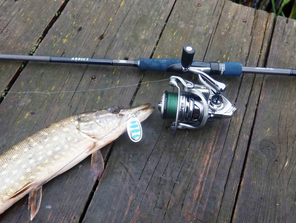 Щука поймана на крупную вертушку