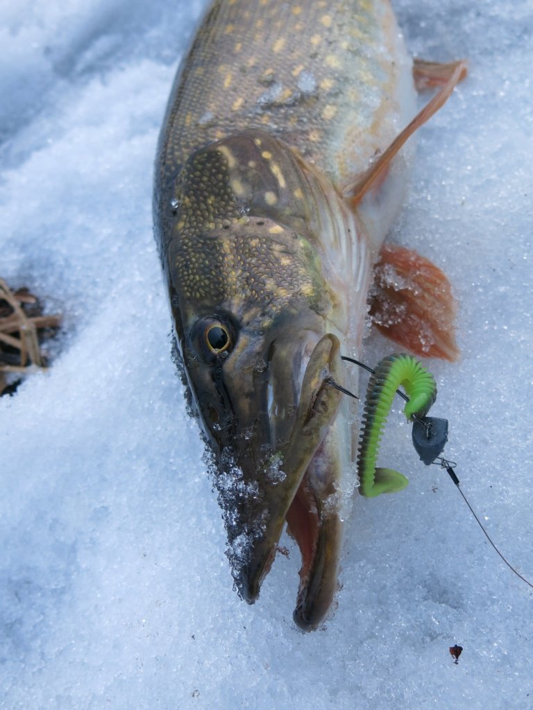 Щука на снегу и виброхвост Lucky John Spark Тail 4 в цвете Т53