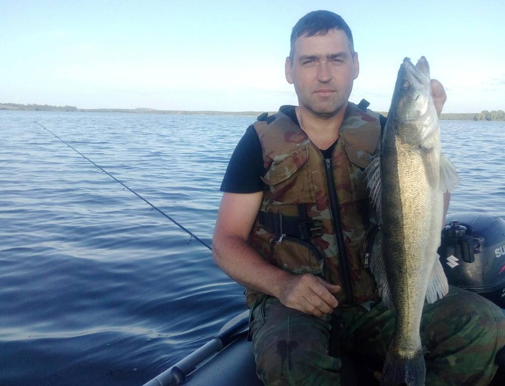 Выловленный судак в руках рыболова