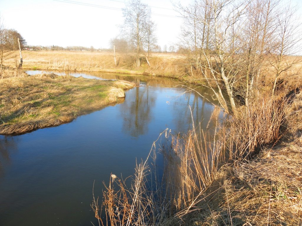 Поворот малой реки