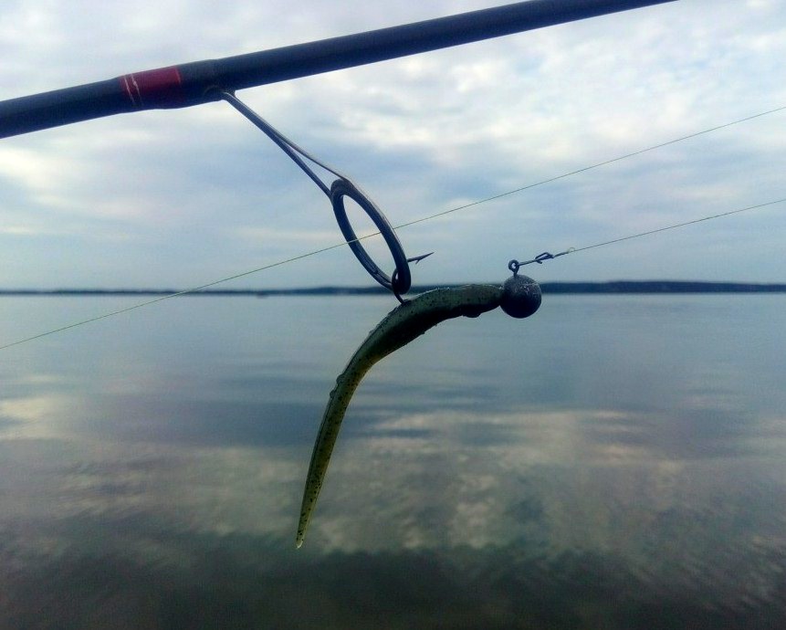 выбор приманок для ловли судака 00006.JPG