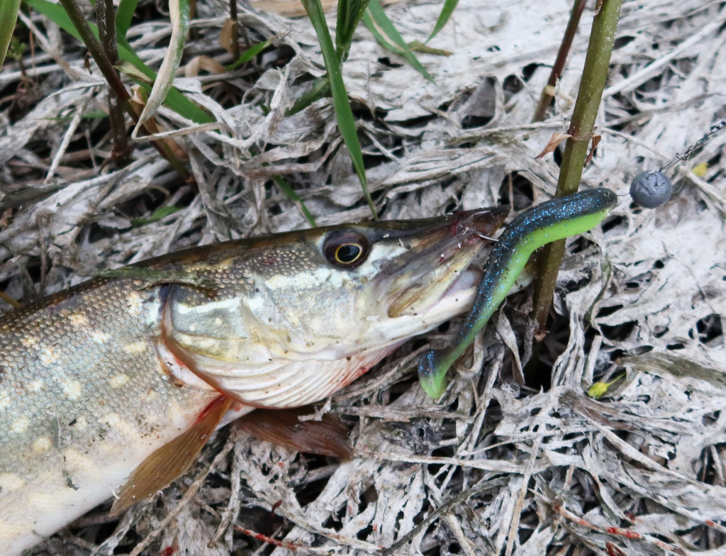 Lucky John Slim Shaker – лучшая приманка сезона