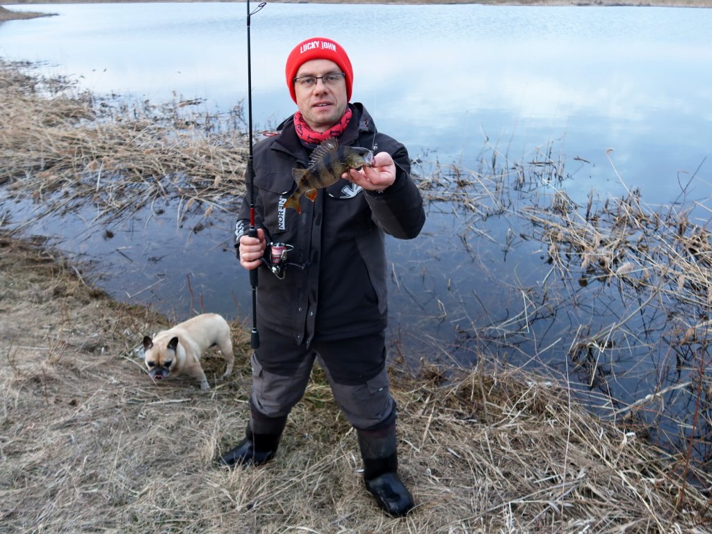 Валерий Сикиржицкий с весенним окунем, пойманным на микроджиг