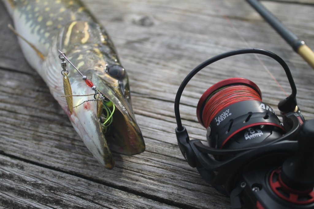 Катушка LJ Anira Катушка LJ Anira возле пойманной щуки