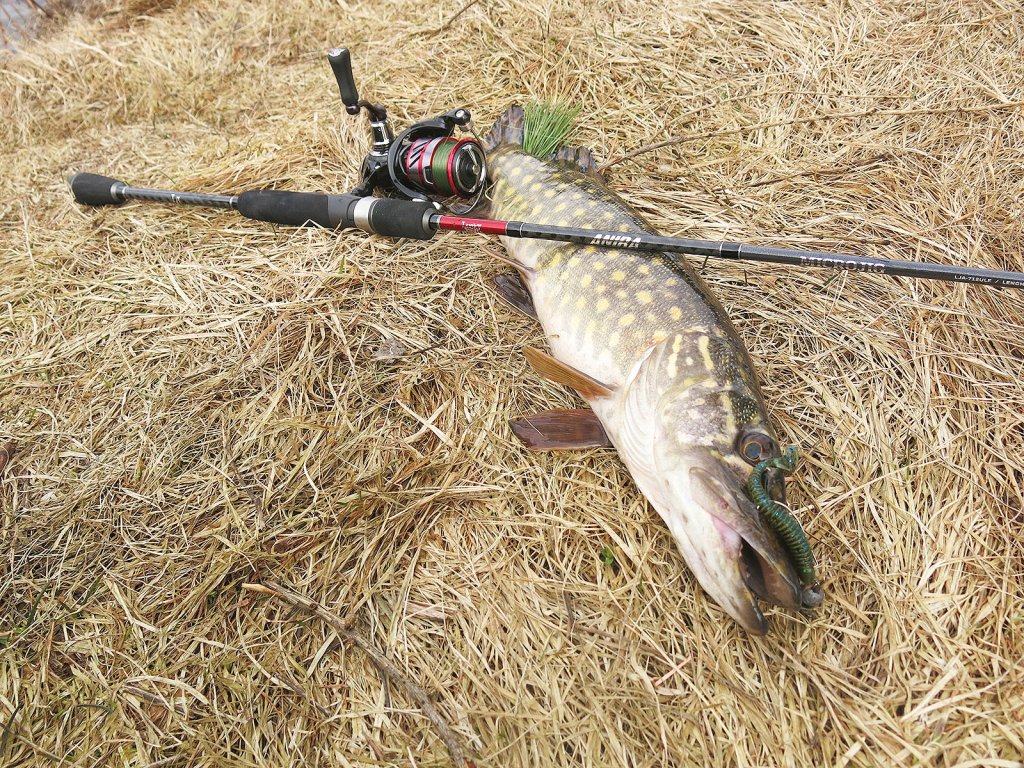 Щука поймана на спиннинг Lucky John Anira Microjig 5