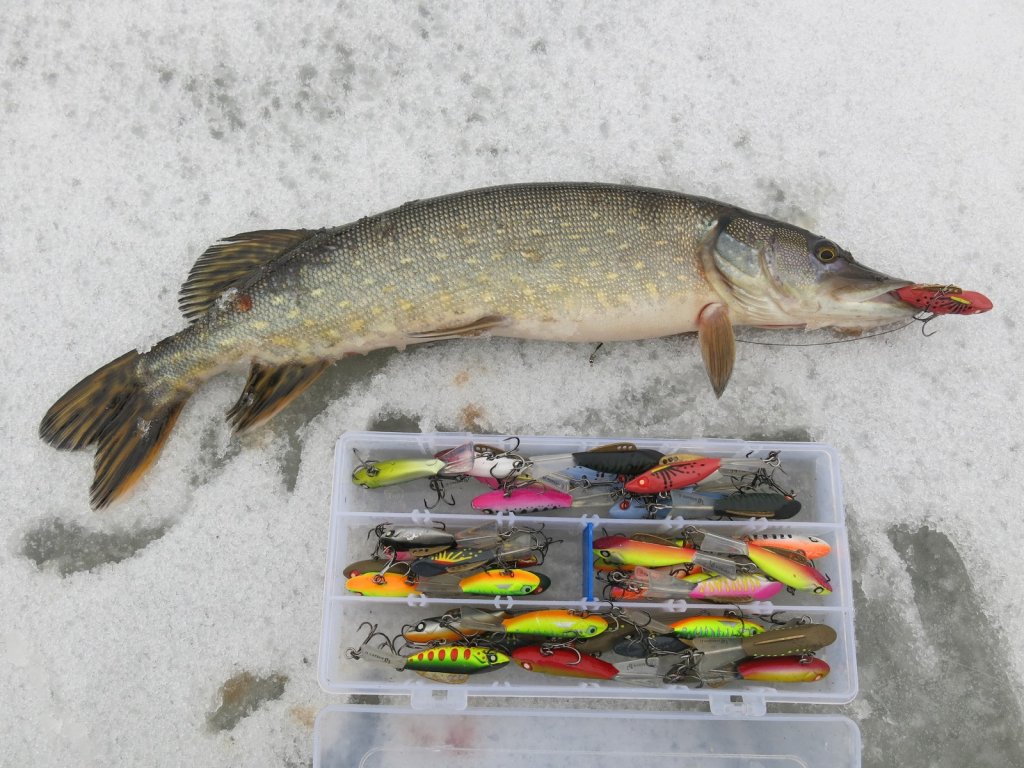 Щука и коробка с балансирами