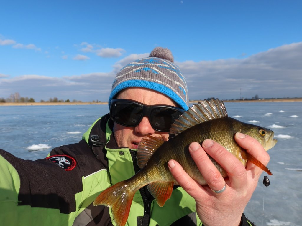 Валерий Сикиржицкий с окунем, пойманным на балду весной