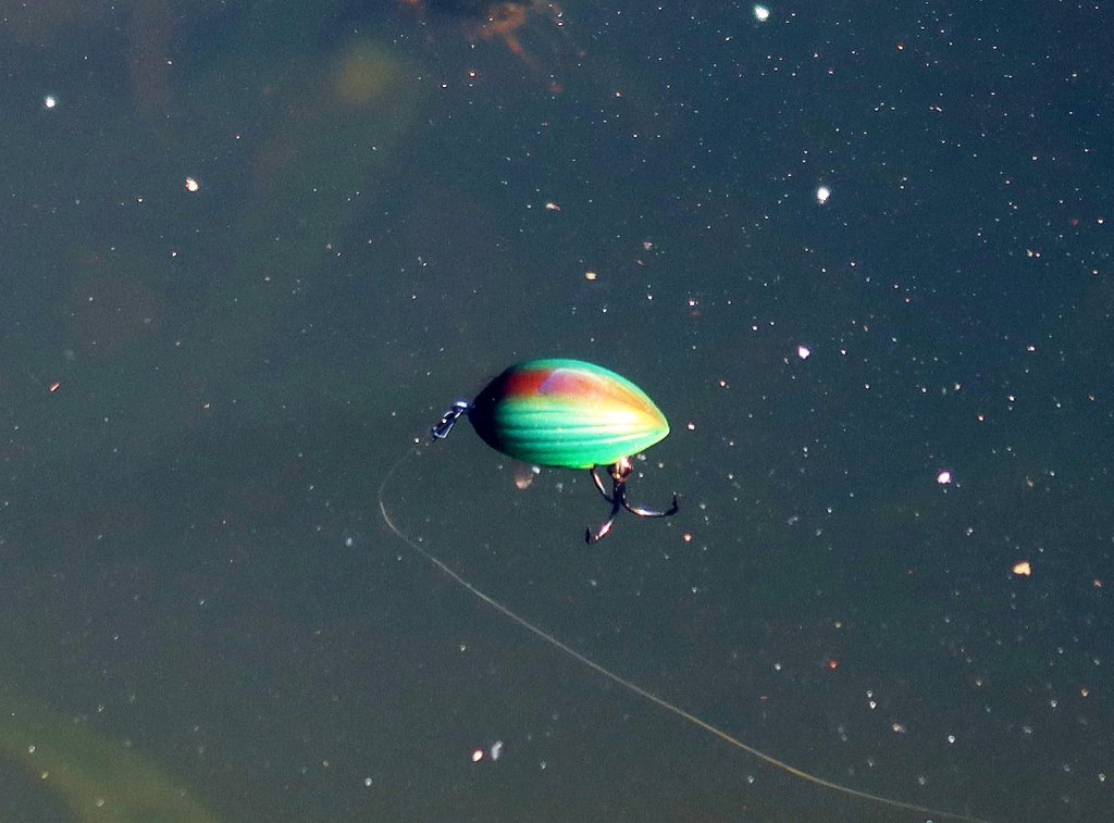 Голавлёвый воблер на поверхности воды