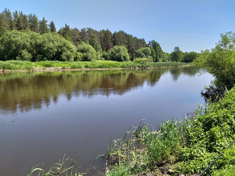 Маховая ловля на реках с ощутимым течением 0004.JPG